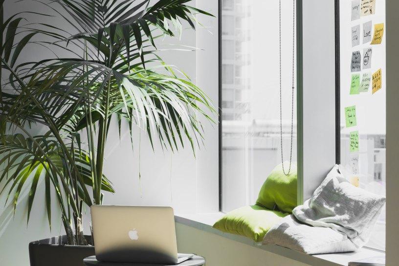 How To Know If A Company’s Culture Is Right For You Image